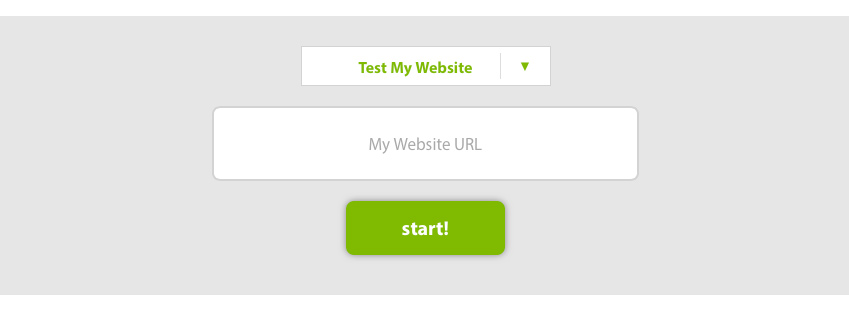 Enter your website URL into Peek