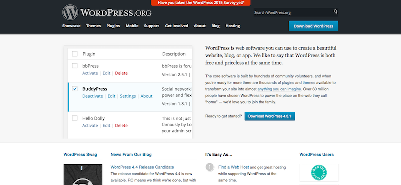 you can use WordPress to build your own private practice website