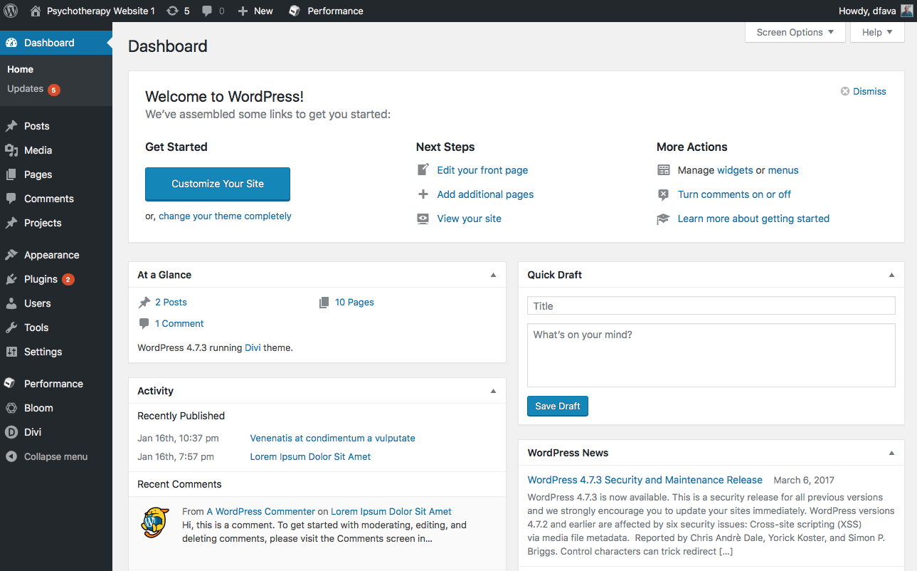 wordpress dashboard websites for therapists