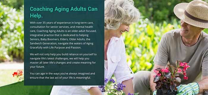 high contrast website design older adults optimized